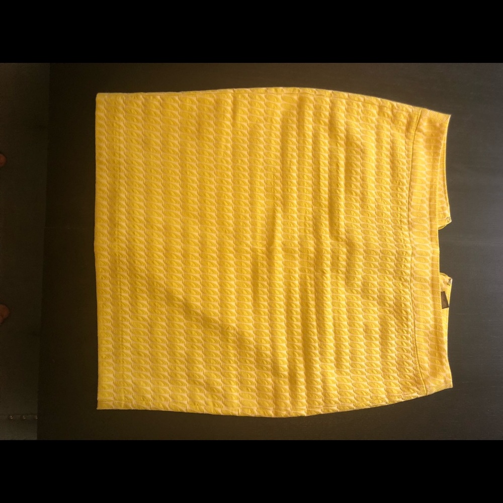 Ann Taylor woven summer weight skirt
